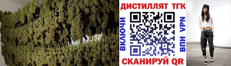 блэк спрут ТОР  Туринск  ТГК жижа 